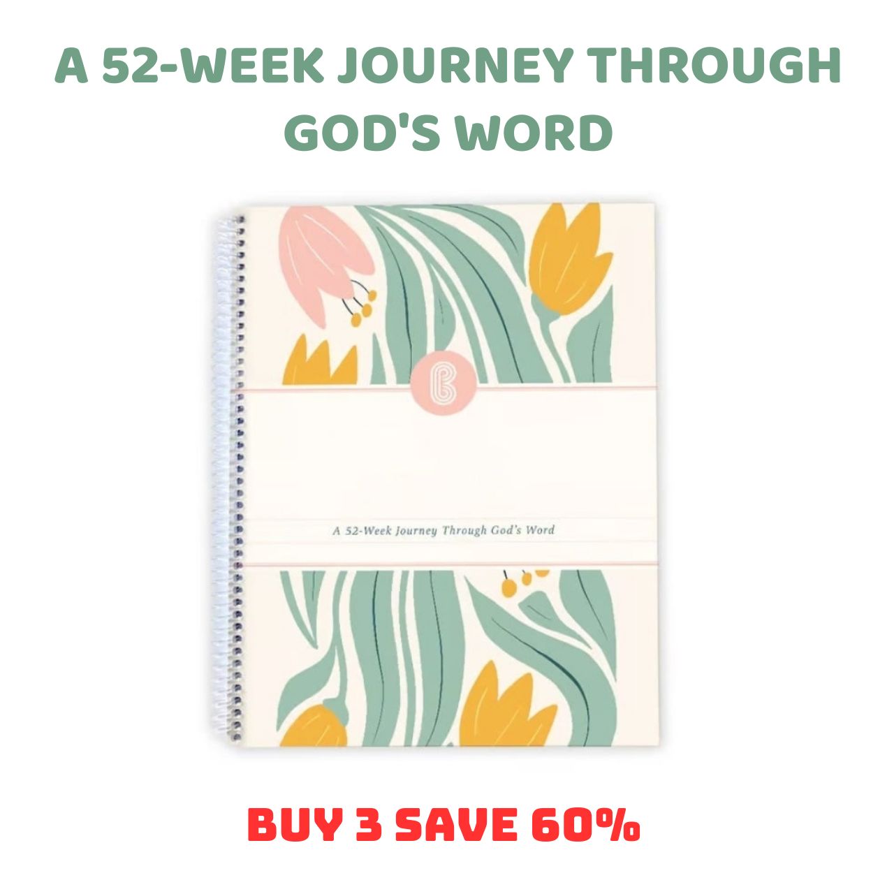 🙏🏼 A 52-Week Journey Through God's Word(✨Hardcover)