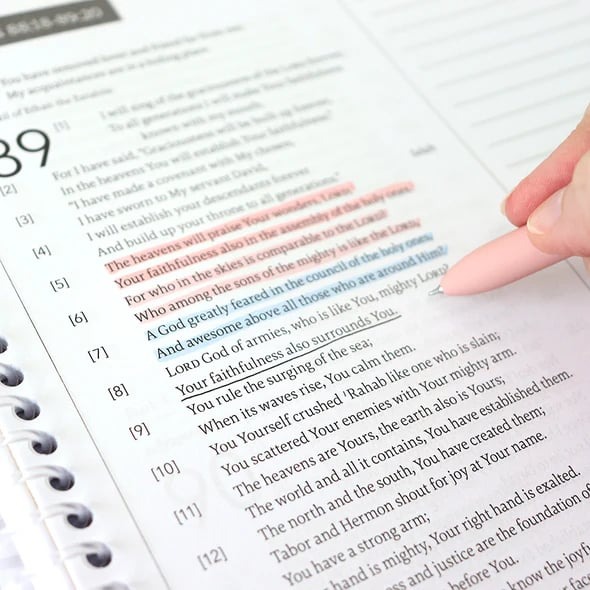 🙏🏼 A 52-Week Journey Through God's Word(✨Hardcover)